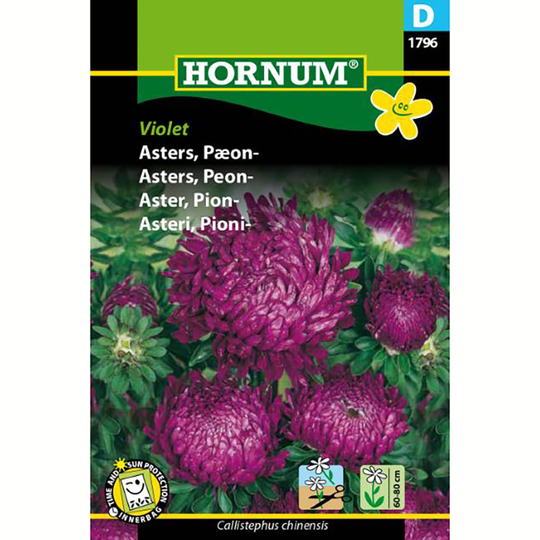 Pionaster 'Violet'