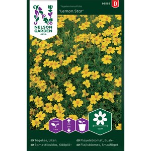 Fröer Nelson Garden Tagetes Lemon Star Liten