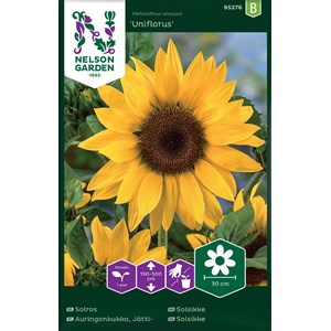 Fröer Nelson Garden Jättesolros Gul Hög
