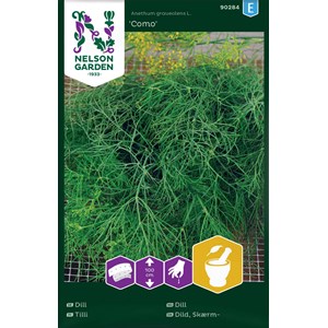 Fröer Nelson Garden Vanlig dill Como Såband