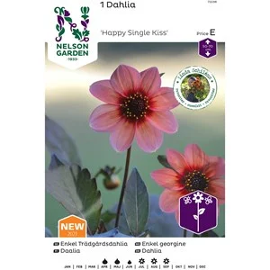 Vårlök Nelson Garden Dahlia Hög Happy Single Kiss