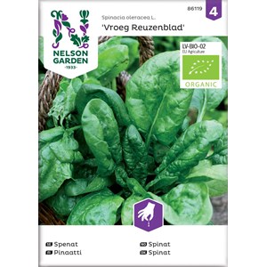 Fröer Nelson Garden Spenat Vroeg Reuzenbald