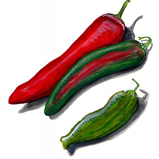 Chili 'Anaheim'