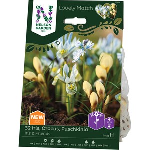 Höstlök Nelson Garden Iris/Krokus/Puschki. LM Iris & Friends