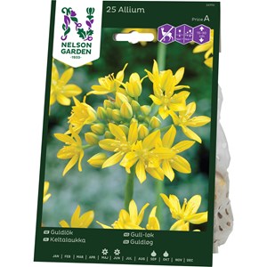 Höstlök Nelson Garden Guldlök Gul