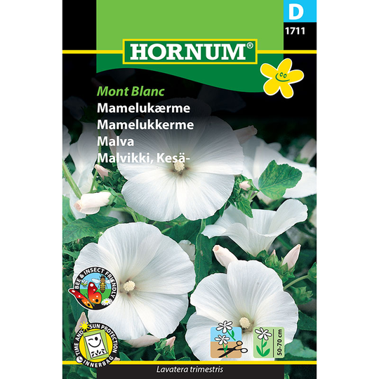 Sommarmalva 'Mont Blanc'