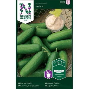 Fröer Nelson Garden Krukgurka Iznik F1 Mini