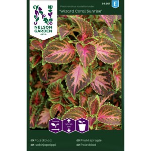Fröer Nelson Garden Palettblad Wizard Coral Sunrise