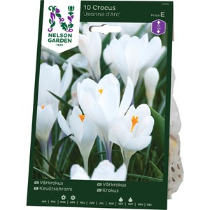 Höstlök Nelson Garden Vårkrokus Jeanne D'Arc Vit