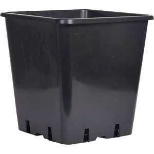 Plastkruka Nelson Garden Fyrkantig Svart, 25x25x26 cm