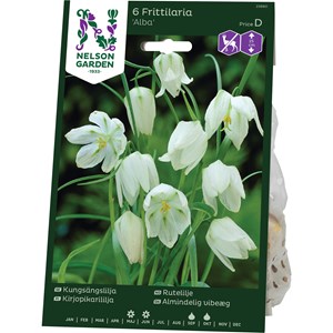 Höstlök Nelson Garden Kungsängslilja Alba Vit