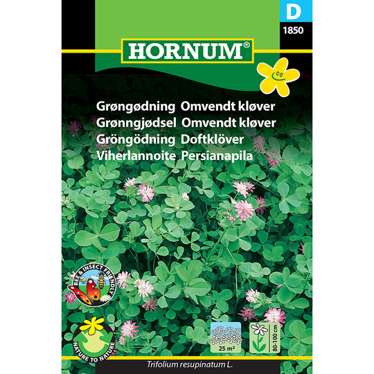 Gröngödsling Doftklöver