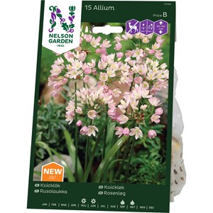 Höstlök Nelson Garden Kvicklök Rosa