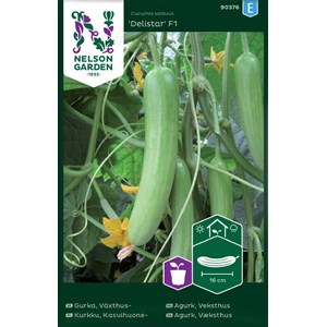 Fröer Nelson Garden Växthusgurka Delistar F1