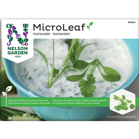 Micro Leaf, Koriander
