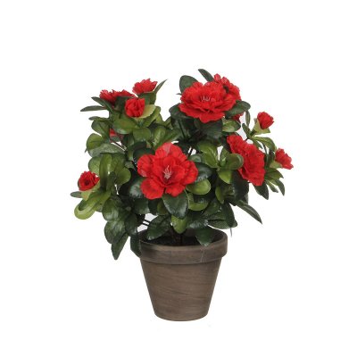 Dekorativ växt Mica Decorations 11,5 x 27 x 20 cm Azalea