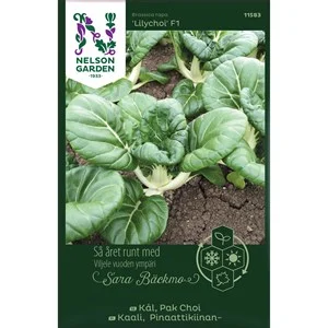 Fröer Nelson Garden Så Året Runt Sara Bäckmo Kål Pakchoi Lilychoi