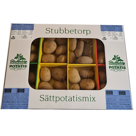Sättpotatis, mixlåda 8 sorter