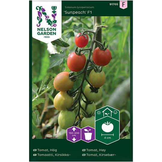 Tomat 'Sunpeach' F1