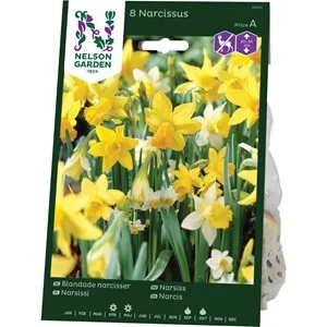 Höstlök Nelson Garden Blandade Narcisser