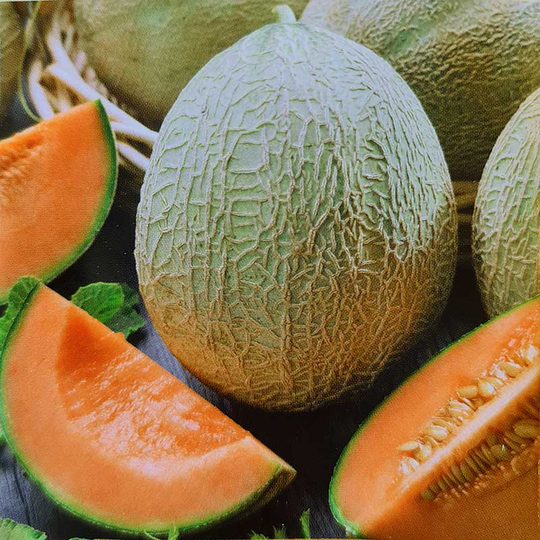 Melon 'Emir'