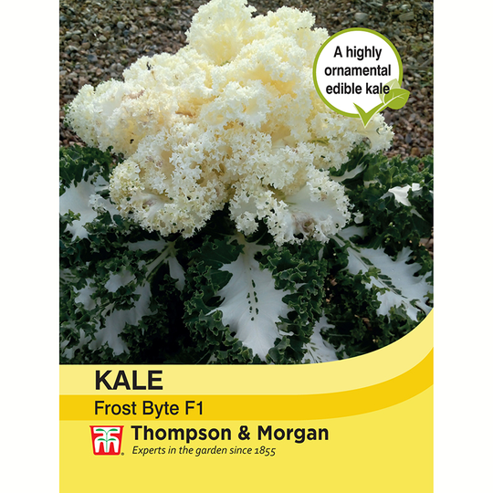 Prydnadskål 'Frost Byte' F1