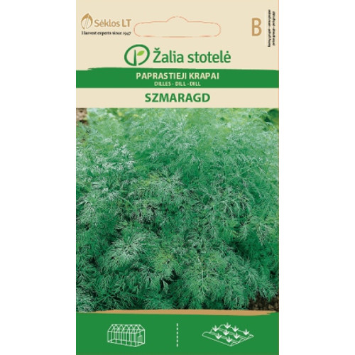 Dill 'Szmaragd'