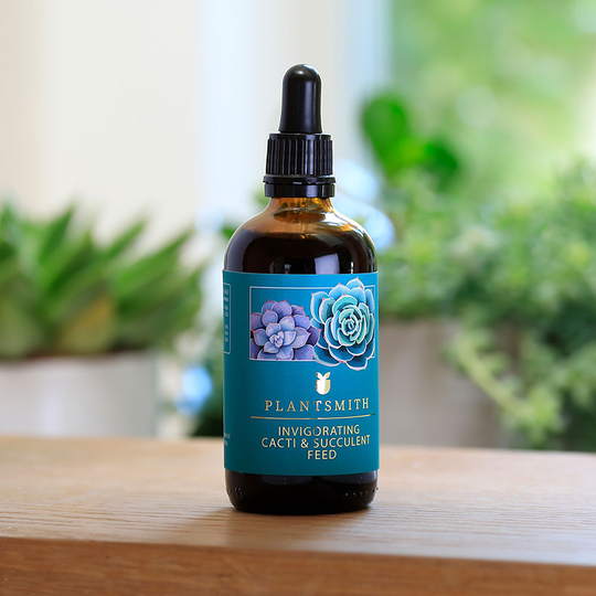 Cacti & Succulent Feed 100 ml