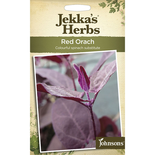 Trädgårdsmålla 'Rubra'