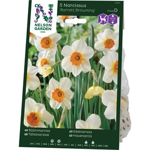 Höstlök Nelson Garden Stjärnnarciss Barrett Browning Vit/Orange