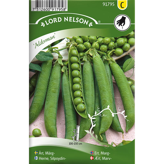 Märgärt 'Alderman'