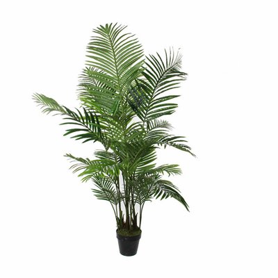 Dekorativ växt Mica Decorations Grön Palmträd (80 x 160 cm)