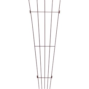 Spaljé Solfjäder Rostfärgad, 160 cm