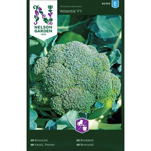 Fröer Nelson Garden Broccoli Premium Crop F1