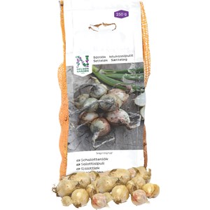 Sättlök Nelson Garden Schalottenlök Hermine Vit, 250 g