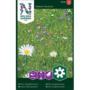 Fröer Nelson Garden Ängsblommor Mix