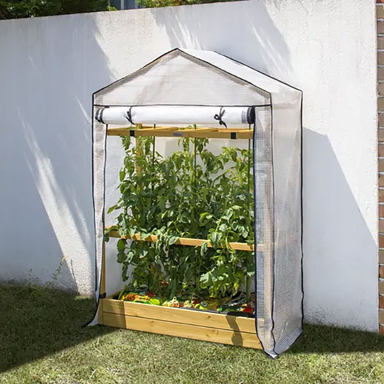 Tomatväxthus, natur