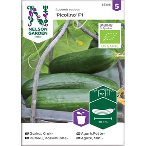 Fröer Nelson Garden Krukgurka Piccolino F1 Organic