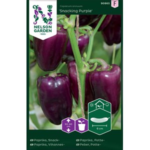 Fröer Nelson Garden Snackpaprika Snacking Purple
