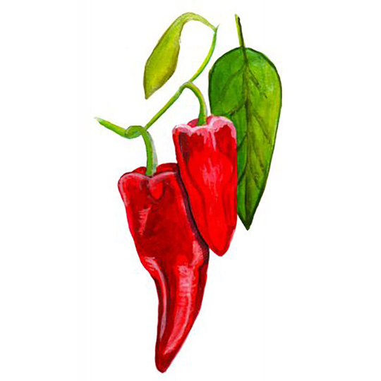 Chili 'Ezpeleta'
