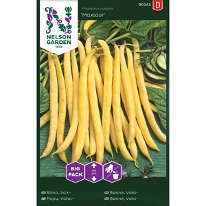 Fröer Nelson Garden Vaxböna Maxidor Big Pack