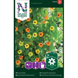Fröer Nelson Garden Svartöga Blandade färger