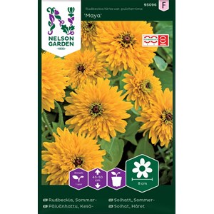 Fröer Nelson Garden Sommarrudbeckia Maya