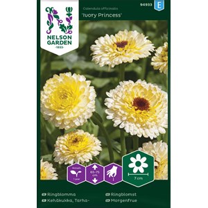 Fröer Nelson Garden Ringblomma Ivory Princess