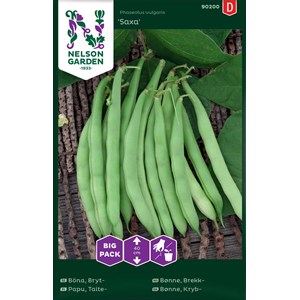 Fröer Nelson Garden Brytböna Saxa Big Pack