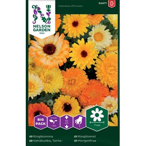 Fröer Nelson Garden Ringblomma Blandade Färger Big Pack