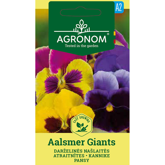Pensé 'Aalsmer Giants'