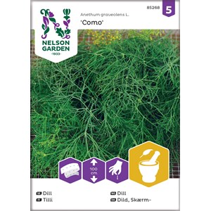 Fröer Nelson Garden Dill Vanlig Como Såband