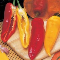 Paprika 'Corno di Toro', mix