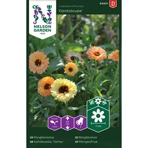 Fröer Nelson Garden Ringblomma Cantaloupe